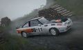 DiRT-Rally-115.jpg