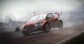 DiRT-Rally-86.jpg